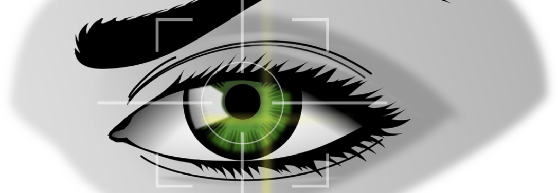 biometrics eye security 154660 biometrics eye security 154660
