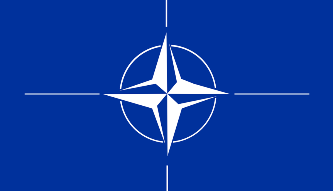 Rola NATO i innych sojuszy w obronności Polski