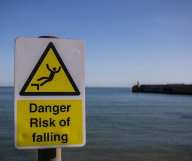 Polska obronność w XXI wieku - wyzwania i perspektywy