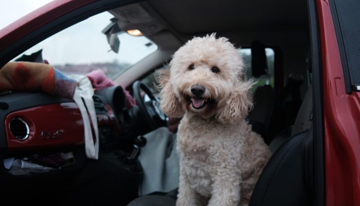 Szkolenia z cyberbezpieczeństwa - dlaczego są tak ważne dla firm i pracowników