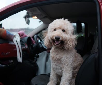 Szkolenia z cyberbezpieczeństwa - dlaczego są tak ważne dla firm i pracowników